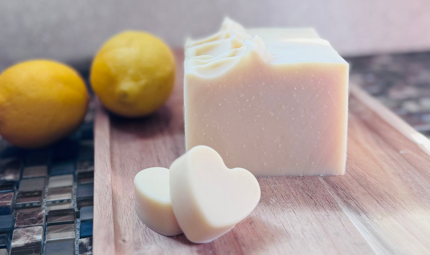 DISH BAR & STAIN STICK